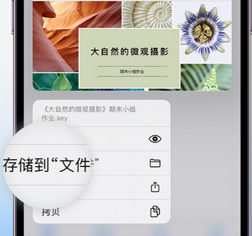 富顺apple维修中心分享iPhone文件应用中存储和找到下载文件