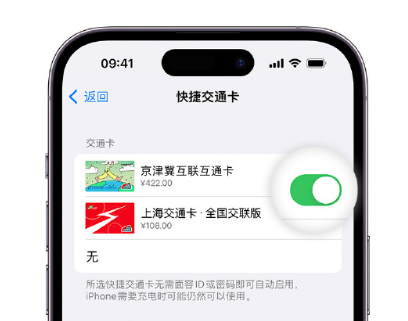 富顺apple维修点分享iPhone上更换Apple Pay快捷交通卡手绘卡面 