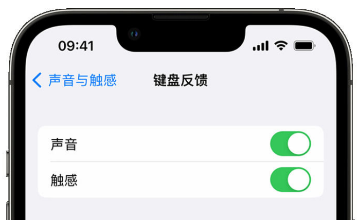 富顺苹果手机维修分享iPhone 14触感键盘使用方法 