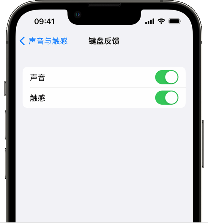 富顺苹果14维修店分享如何在 iPhone 14 机型中使用触感键盘 