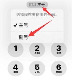 富顺苹果14维修店分享iPhone 14 Pro Max使用副卡打电话的方法 