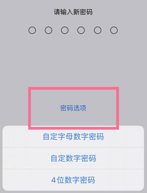 富顺苹果14维修分享iPhone 14plus设置密码的方法 