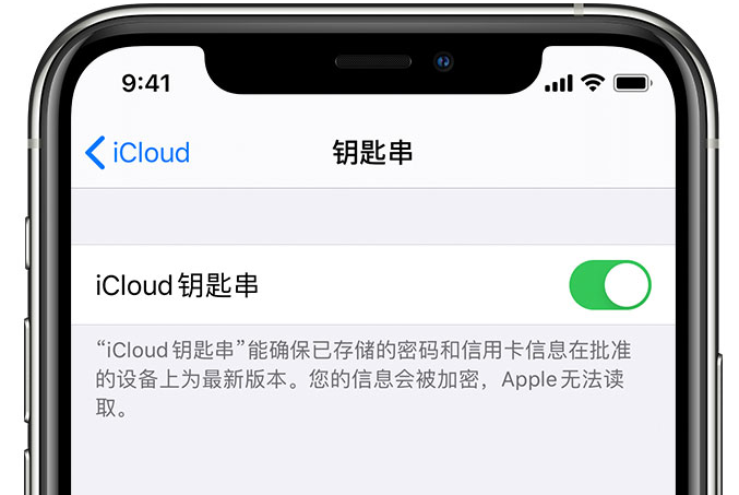 富顺苹果手机维修分享在 iPhone 上开启 iCloud 钥匙串之后会储存哪些信息 