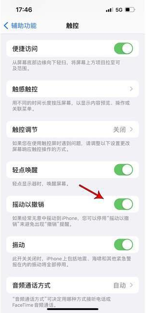 富顺苹果手机维修分享iPhone手机如何设置摇一摇删除文字 